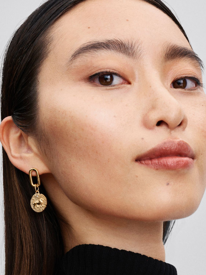 Lion Medallion Charm - 14ct Gold Plated - 763974C01