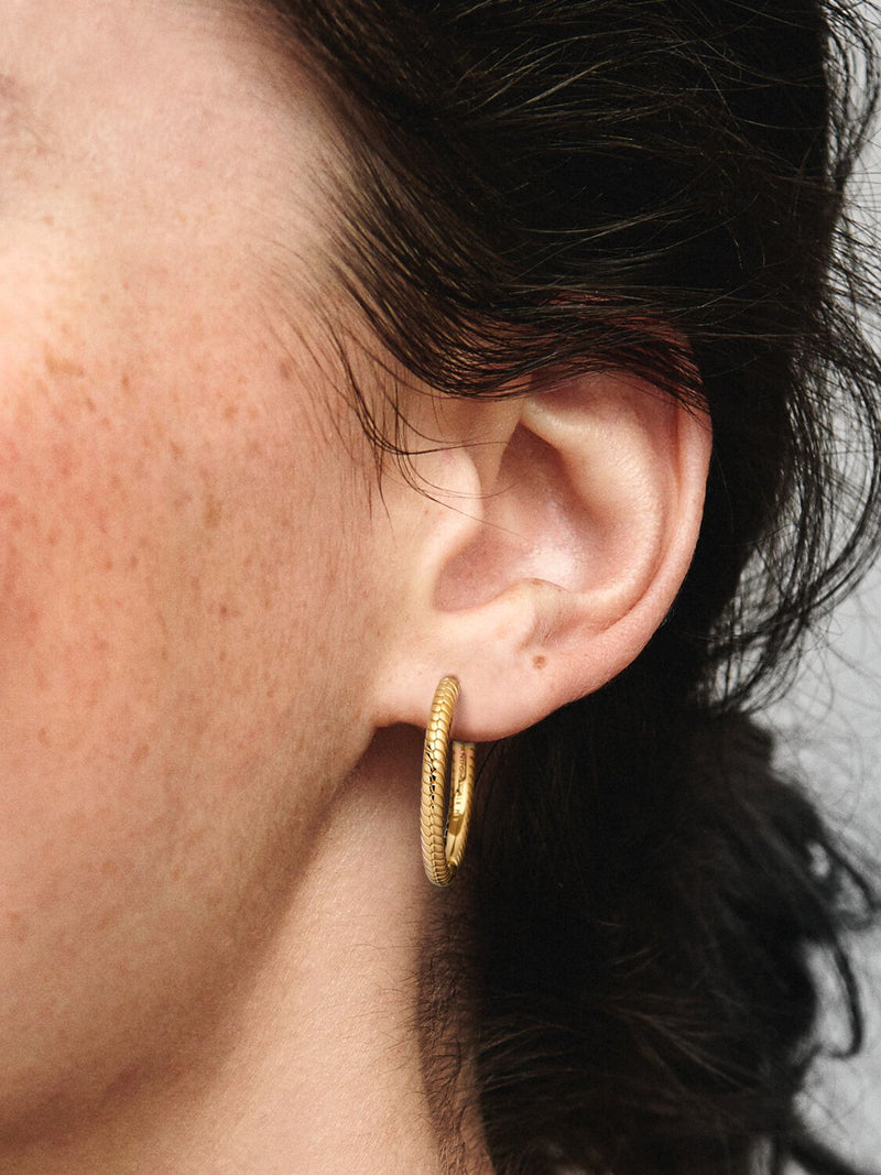 Pandora Moments Charm Hoop Earrings - 14ct Gold Plated - 269532C00