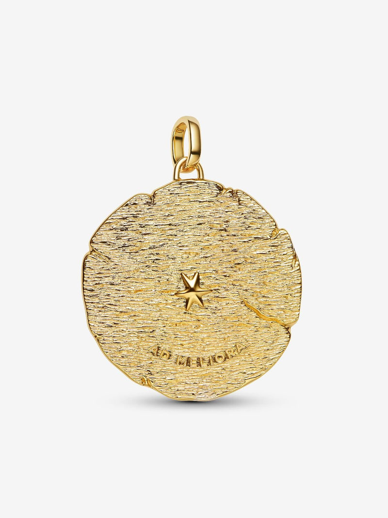 Crossing Arrows Medallion Charm - 14ct Gold Plated - 764084C01