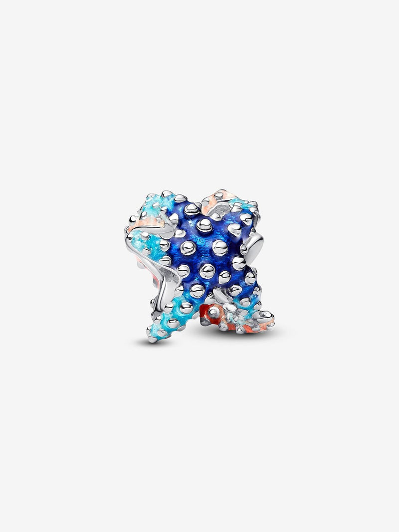 Colourful Starfish Mini Charm - Sterling Silver - 793817C01
