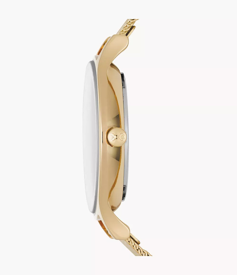 Skagen Anita Ladies Watch - Gold - SKW2150