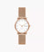 Kuppel Lille Two-Hand Ladies Watch - Rose Gold - SKW3099