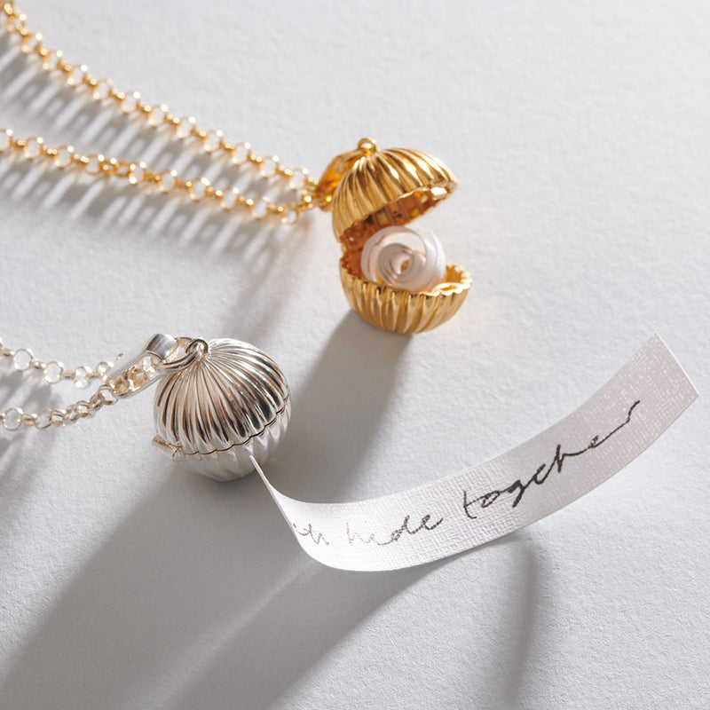 Long Momento Locket Necklace - Silver - TBN5S