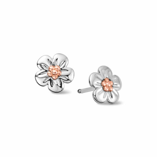 Nature's Wonder Forget-Me-Not Stud Earrings - Silver - 3SFMN0621