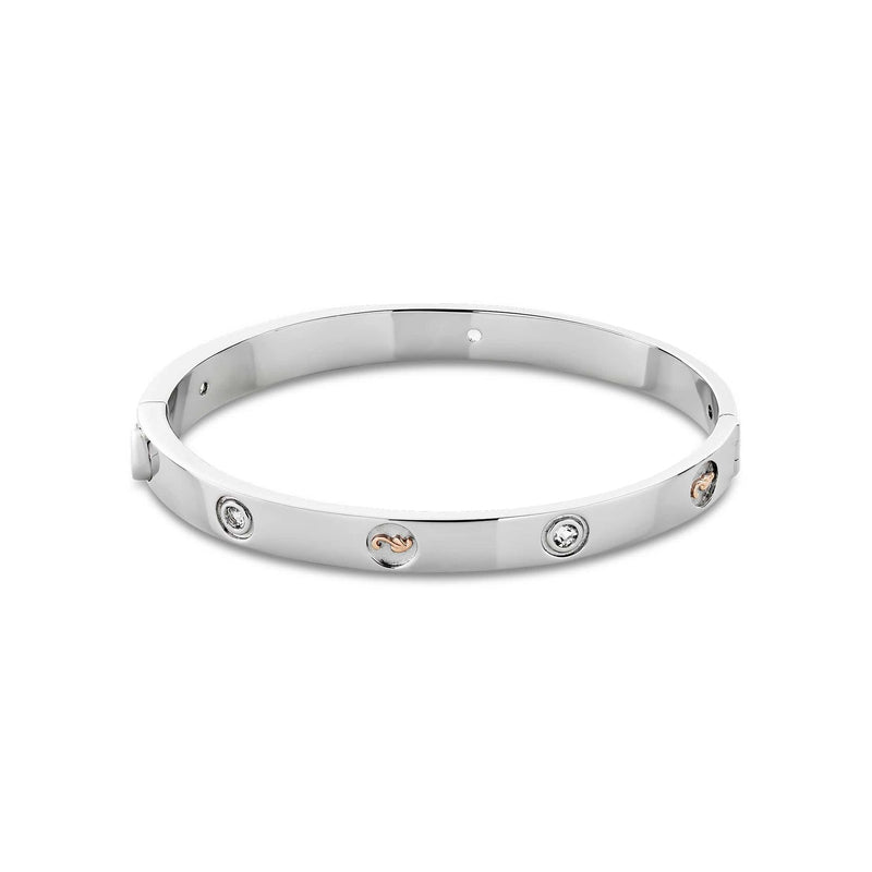 Insignia Topaz Bangle - Silver - 3SINS842