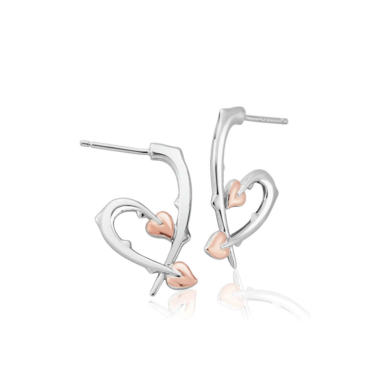 Julien Macdonald Betrayal Earrings - Silver/Rose - 3SJMC0458
