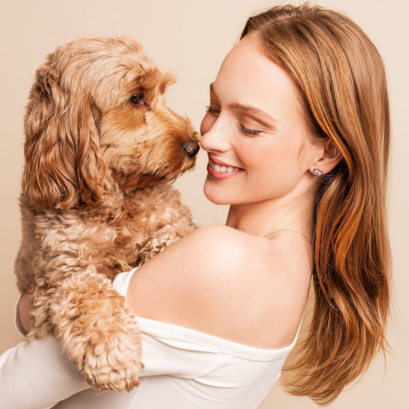 Paw Prints Topaz Heart Stud Earrings- Silver- 3SPMH854