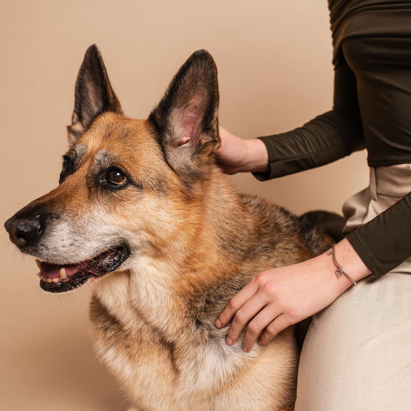 Paw Prints Topaz Heart Affinity Bracelet - Silver- 3SPMH880