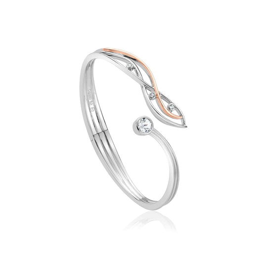 Swallow Falls Bangle - Silver - 3SSWF0106