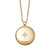 Biography Medium Locket Necklace - Gold - 42044YNON