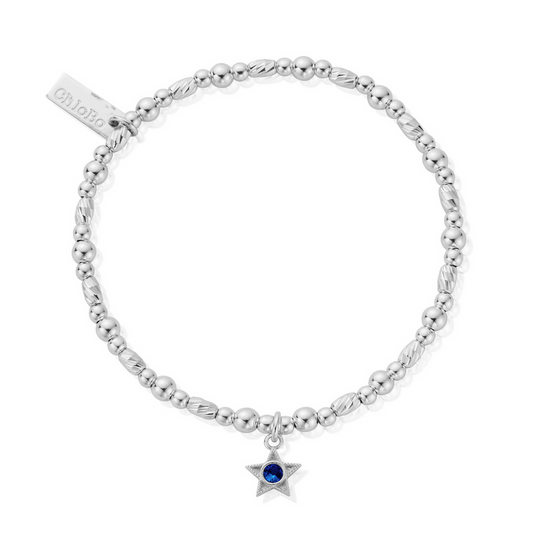 December Birthstone Bracelet - Silver - SBBCB3502