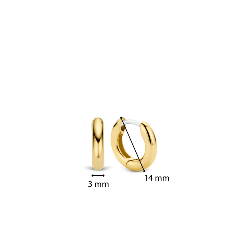 Milano Small Hoop Earrings - Gold - 7210YS