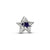 Openwork Star Charm - Platinum Plated