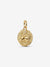 Lion Medallion Charm - 14ct Gold Plated - 763974C01