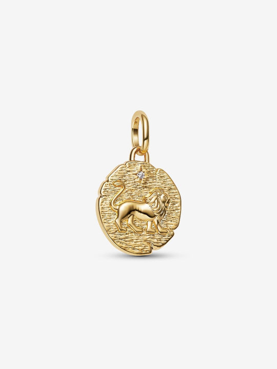 Lion Medallion Charm - 14ct Gold Plated - 763974C01