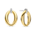 Milano Oval Earrings - Gold - 78013ZY