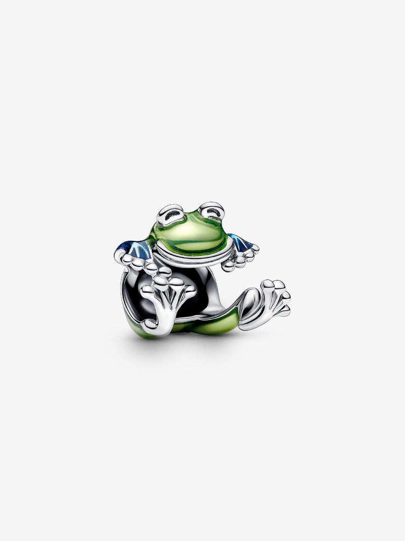 Climbing Frog Charm - Sterling Silver - 793342C01
