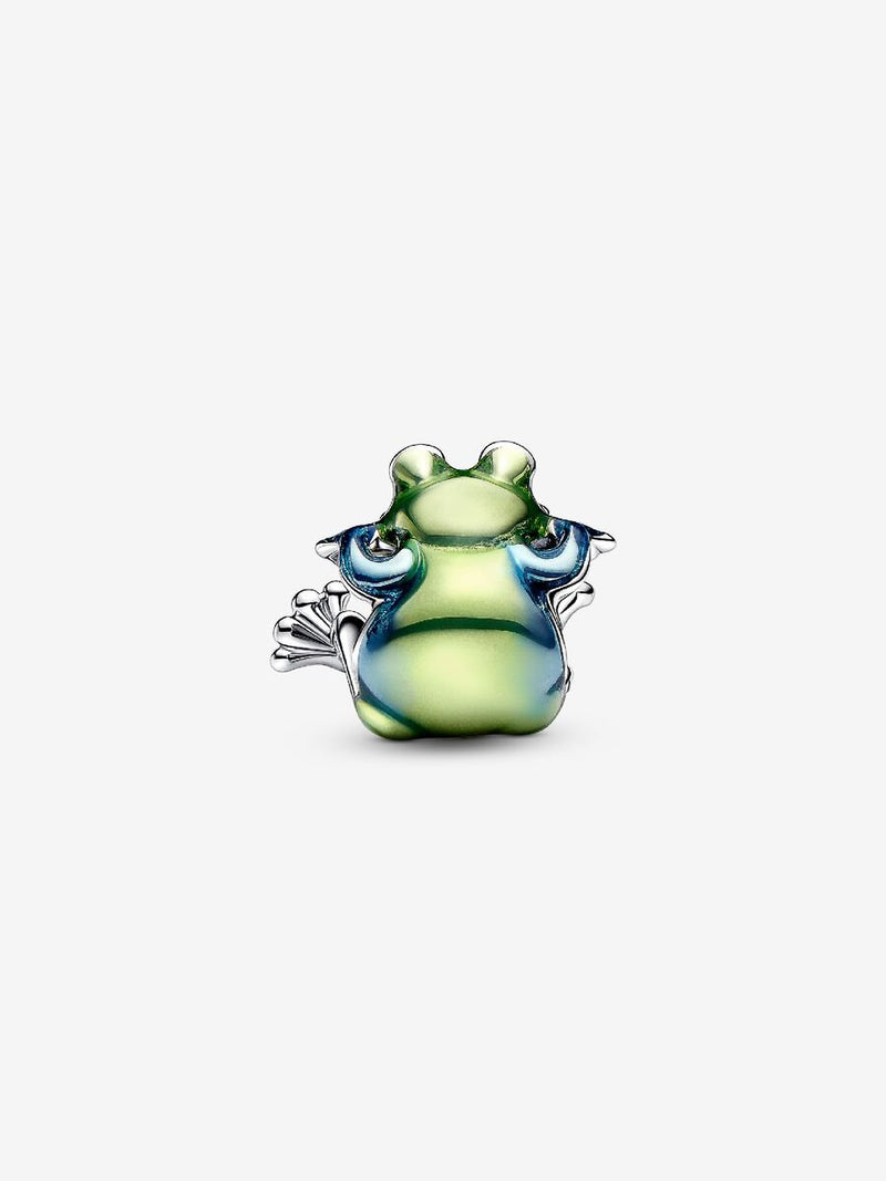 Climbing Frog Charm - Sterling Silver - 793342C01