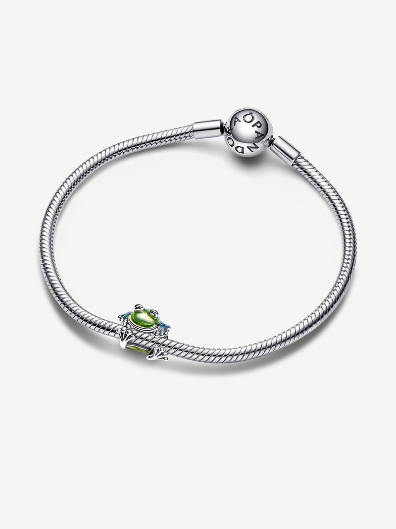 Climbing Frog Charm - Sterling Silver - 793342C01