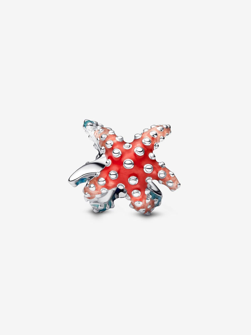 Colourful Starfish Mini Charm - Sterling Silver - 793817C01