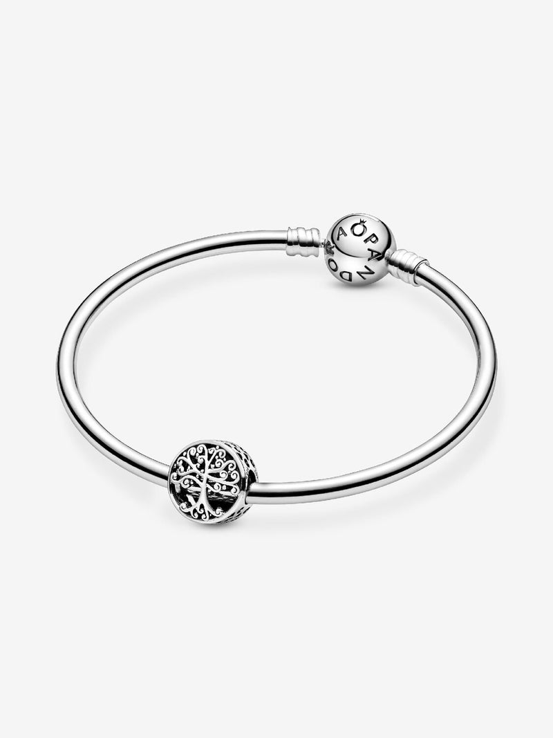 Family Roots Charm - Sterling Silver - 797590