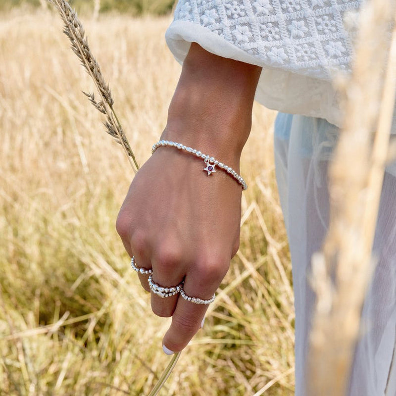 January Birthstone Bracelet - Silver - SBBCB3480