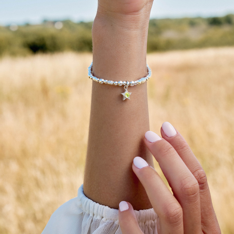 November Birthstone Bracelet - Silver - SBBCB3500