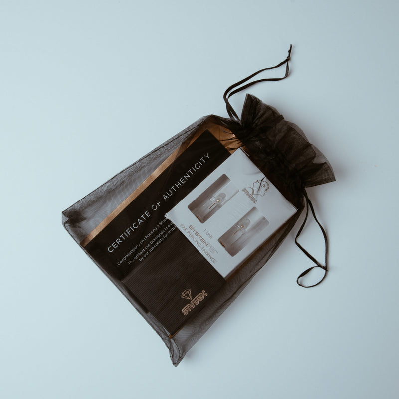 9ct White Gold 8 Point Diamond Stud Earrings - 7509-5038-GB