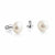 White Pearl Stud Earrings - Silver -  1509946