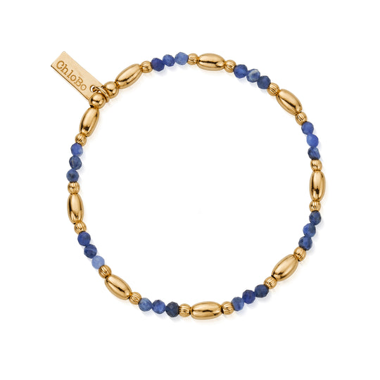 Balance Sodalite Bracelet - Gold - GBSCBO