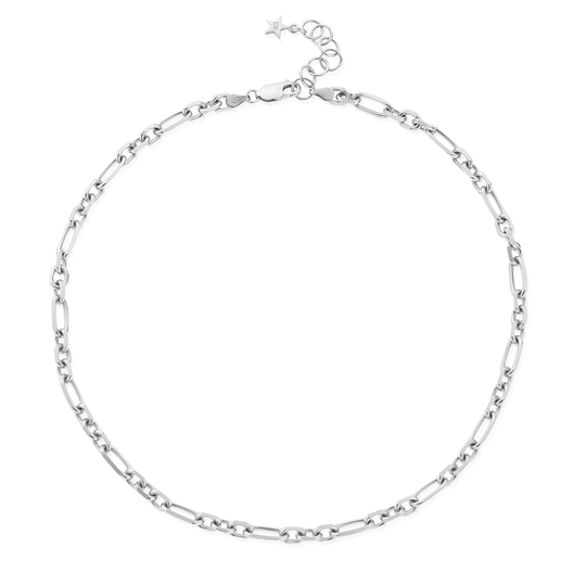 Chain Of Courage Necklace - Silver - SN3474