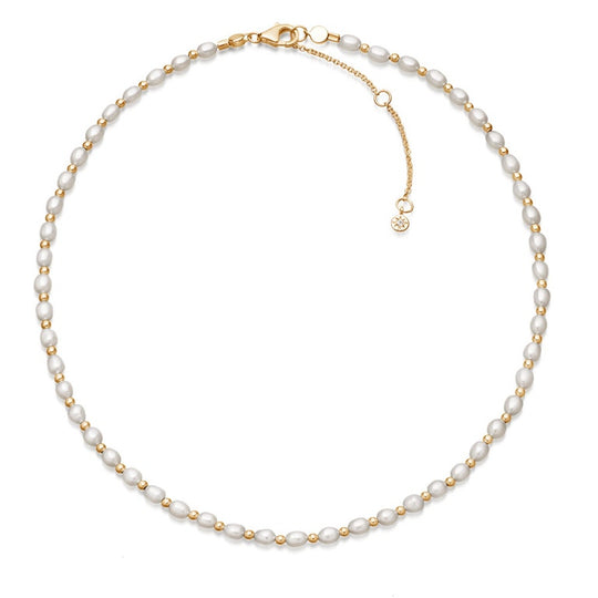 Stilla White Pearl Choker - Gold - 40049YWTN