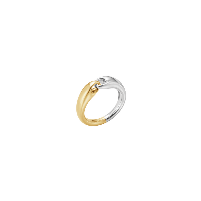 Reflect Ring, Small Link - Silver/Gold