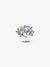 Family Tree Openwork Charm - Sterling Silver - 794486C01