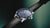Artelier Date Watch, Blue