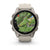 Fenix 9 Smartwatch, 43mm - Titanium with Fog Grey Silicone Band - 010-04761-01