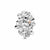 Nature's Wonder Forget-Me-Not Brooch - Silver - 3SNWO1412