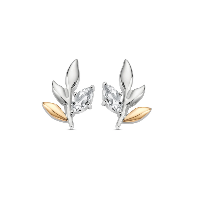 Royal Clogau Leaf Stud Earrings - Silver - 3SROY929