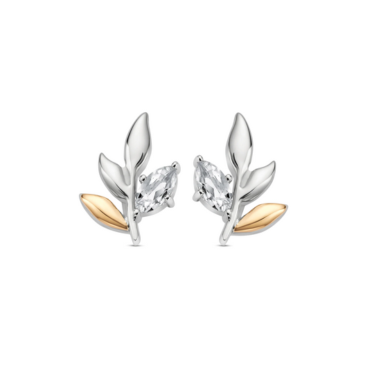 Royal Clogau Leaf Stud Earrings - Silver - 3SROY929