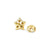Lifepoetry CZ Star Stud Earrings - Gold - 242707/009