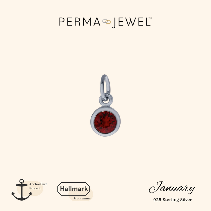 January Birthstone Charm - Silver - PJ-9252007
