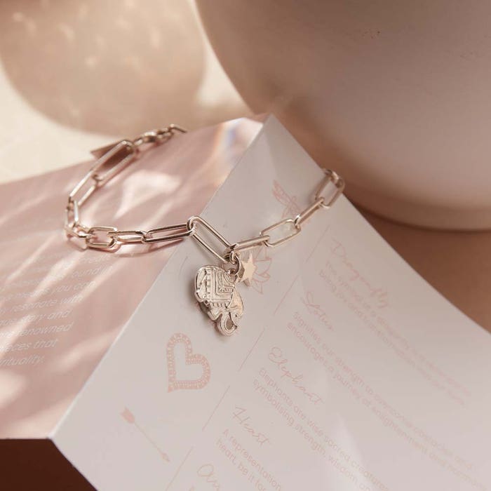 Link Chain Strength & Luck Bracelet - Silver - SBLC534806