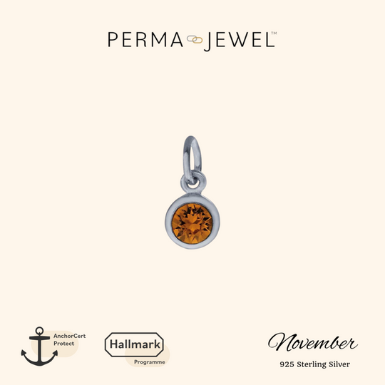 November Birthstone Charm - Silver - PJ-9252015