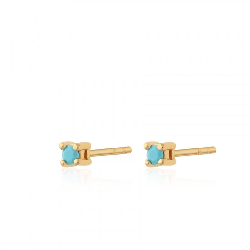 Teeny Tiny Stud Earrings - Gold