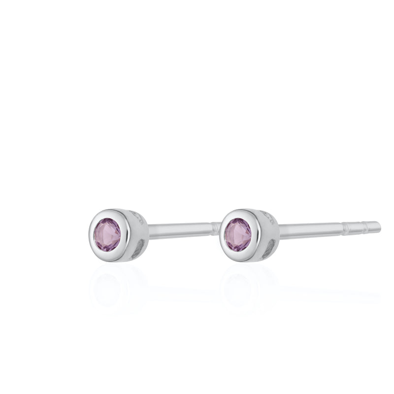 Teeny Tiny February Birthstone Stud Earrings - Silver/Amethyst - SPSESBSAME