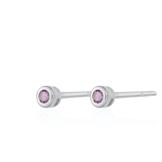 Teeny Tiny February Birthstone Stud Earrings - Silver/Amethyst - SPSESBSAME
