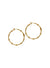 Felicia Earrings - Gold - 6203007K-02R102-SM