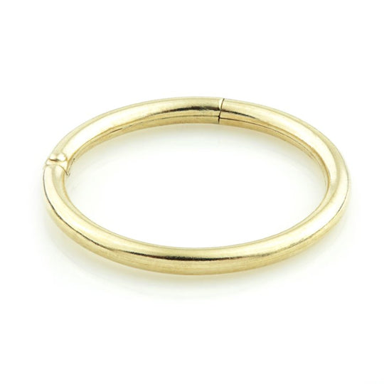 Titanium Plain Hinged Segment Ring - Gold - YT36-1.2-8