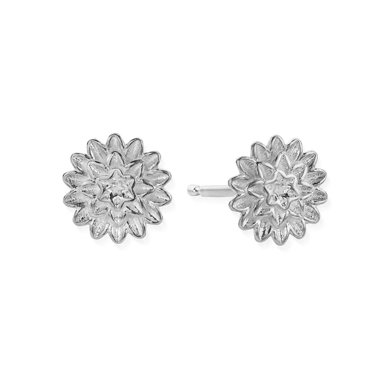 Botanical Beauty Stud Earrings - Silver - SEST3298