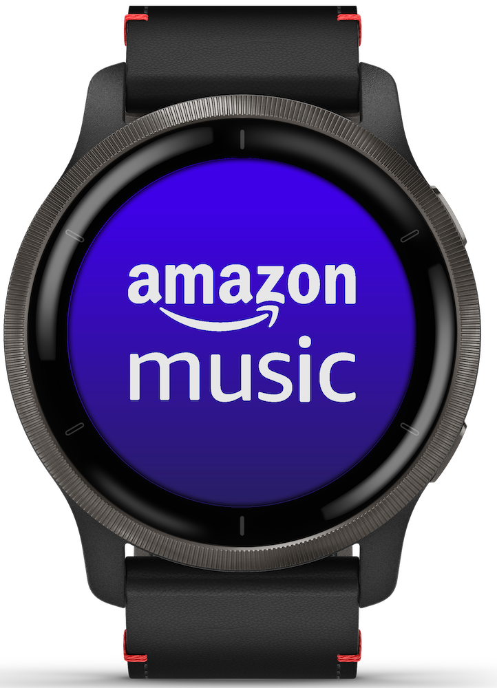 Venu 2 Smart Watch, 45mm - Slate/Black - 010-02430-21